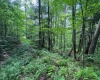 0 Laurel Run Road, Montrose, West Virginia 26283, 0 , 0 ,0,Lots/land,For Sale,Laurel Run,0,10165790 0 Laurel Run Road, Montrose, West Virginia 26283, 0 , 0 ,0,Lots/land,For Sale,Laurel Run,0,10165790