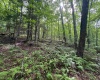 0 Laurel Run Road, Montrose, West Virginia 26283, 0 , 0 ,0,Lots/land,For Sale,Laurel Run,0,10165790 0 Laurel Run Road, Montrose, West Virginia 26283, 0 , 0 ,0,Lots/land,For Sale,Laurel Run,0,10165790