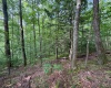 0 Laurel Run Road, Montrose, West Virginia 26283, 0 , 0 ,0,Lots/land,For Sale,Laurel Run,0,10165790 0 Laurel Run Road, Montrose, West Virginia 26283, 0 , 0 ,0,Lots/land,For Sale,Laurel Run,0,10165790