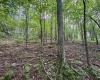 0 Laurel Run Road, Montrose, West Virginia 26283, 0 , 0 ,0,Lots/land,For Sale,Laurel Run,0,10165790 0 Laurel Run Road, Montrose, West Virginia 26283, 0 , 0 ,0,Lots/land,For Sale,Laurel Run,0,10165790