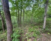 0 Laurel Run Road, Montrose, West Virginia 26283, 0 , 0 ,0,Lots/land,For Sale,Laurel Run,0,10165790 0 Laurel Run Road, Montrose, West Virginia 26283, 0 , 0 ,0,Lots/land,For Sale,Laurel Run,0,10165790