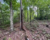 0 Laurel Run Road, Montrose, West Virginia 26283, 0 , 0 ,0,Lots/land,For Sale,Laurel Run,0,10165790 0 Laurel Run Road, Montrose, West Virginia 26283, 0 , 0 ,0,Lots/land,For Sale,Laurel Run,0,10165790