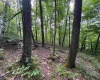 0 Laurel Run Road, Montrose, West Virginia 26283, 0 , 0 ,0,Lots/land,For Sale,Laurel Run,0,10165790 0 Laurel Run Road, Montrose, West Virginia 26283, 0 , 0 ,0,Lots/land,For Sale,Laurel Run,0,10165790