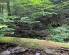 0 Laurel Run Road, Montrose, West Virginia 26283, 0 , 0 ,0,Lots/land,For Sale,Laurel Run,0,10165790 0 Laurel Run Road, Montrose, West Virginia 26283, 0 , 0 ,0,Lots/land,For Sale,Laurel Run,0,10165790