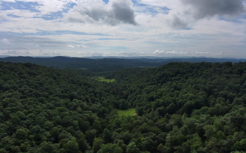 0 Laurel Run Road, Montrose, West Virginia 26283, 0 , 0 ,0,Lots/land,For Sale,Laurel Run,0,10165790 0 Laurel Run Road, Montrose, West Virginia 26283, 0 , 0 ,0,Lots/land,For Sale,Laurel Run,0,10165790