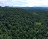 0 Laurel Run Road, Montrose, West Virginia 26283, 0 , 0 ,0,Lots/land,For Sale,Laurel Run,0,10165790 0 Laurel Run Road, Montrose, West Virginia 26283, 0 , 0 ,0,Lots/land,For Sale,Laurel Run,0,10165790