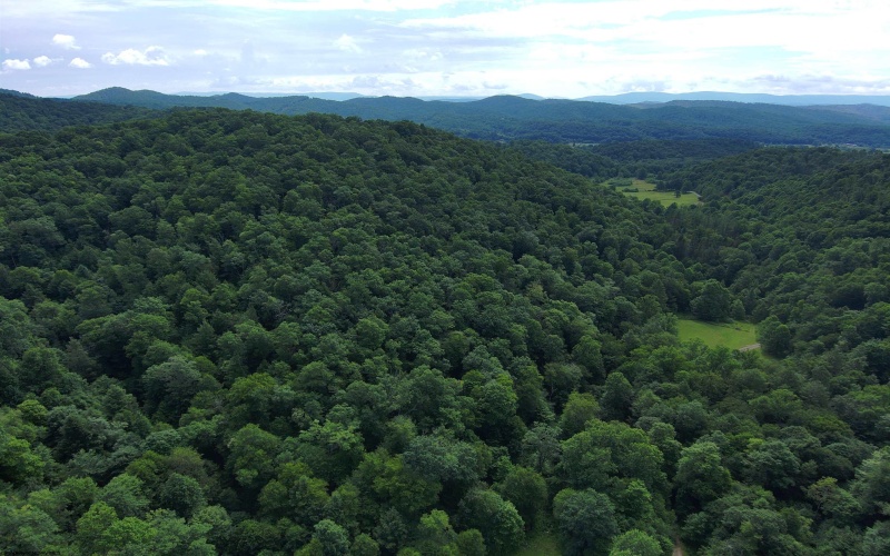 0 Laurel Run Road, Montrose, West Virginia 26283, 0 , 0 ,0,Lots/land,For Sale,Laurel Run,0,10165790 0 Laurel Run Road, Montrose, West Virginia 26283, 0 , 0 ,0,Lots/land,For Sale,Laurel Run,0,10165790