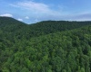 0 Laurel Run Road, Montrose, West Virginia 26283, 0 , 0 ,0,Lots/land,For Sale,Laurel Run,0,10165790 0 Laurel Run Road, Montrose, West Virginia 26283, 0 , 0 ,0,Lots/land,For Sale,Laurel Run,0,10165790