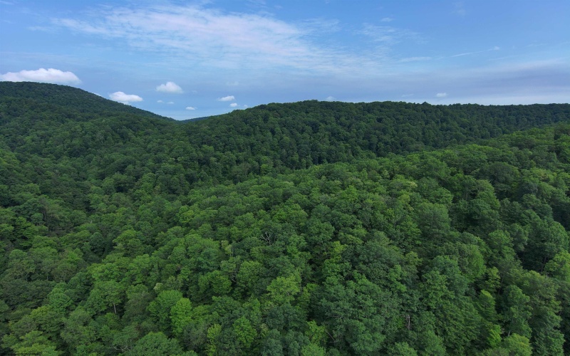 0 Laurel Run Road, Montrose, West Virginia 26283, 0 , 0 ,0,Lots/land,For Sale,Laurel Run,0,10165790 0 Laurel Run Road, Montrose, West Virginia 26283, 0 , 0 ,0,Lots/land,For Sale,Laurel Run,0,10165790
