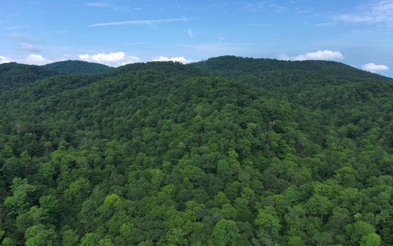 0 Laurel Run Road, Montrose, West Virginia 26283, 0 , 0 ,0,Lots/land,For Sale,Laurel Run,0,10165790 0 Laurel Run Road, Montrose, West Virginia 26283, 0 , 0 ,0,Lots/land,For Sale,Laurel Run,0,10165790