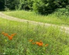 0 Laurel Run Road, Montrose, West Virginia 26283, 0 , 0 ,0,Lots/land,For Sale,Laurel Run,0,10165790 0 Laurel Run Road, Montrose, West Virginia 26283, 0 , 0 ,0,Lots/land,For Sale,Laurel Run,0,10165790