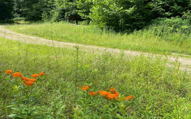 0 Laurel Run Road, Montrose, West Virginia 26283, 0 , 0 ,0,Lots/land,For Sale,Laurel Run,0,10165790 0 Laurel Run Road, Montrose, West Virginia 26283, 0 , 0 ,0,Lots/land,For Sale,Laurel Run,0,10165790