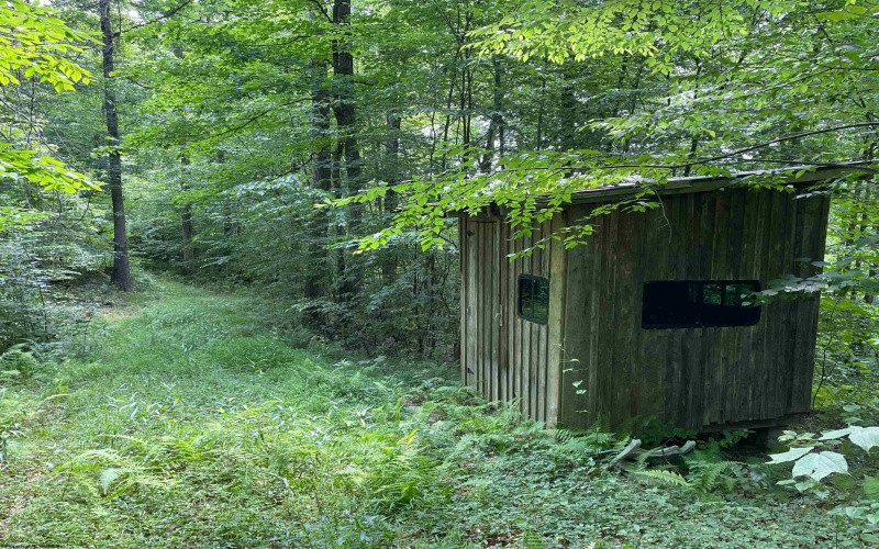 0 Laurel Run Road, Montrose, West Virginia 26283, 0 , 0 ,0,Lots/land,For Sale,Laurel Run,0,10165790 0 Laurel Run Road, Montrose, West Virginia 26283, 0 , 0 ,0,Lots/land,For Sale,Laurel Run,0,10165790