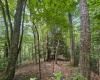 0 Laurel Run Road, Montrose, West Virginia 26283, 0 , 0 ,0,Lots/land,For Sale,Laurel Run,0,10165790 0 Laurel Run Road, Montrose, West Virginia 26283, 0 , 0 ,0,Lots/land,For Sale,Laurel Run,0,10165790
