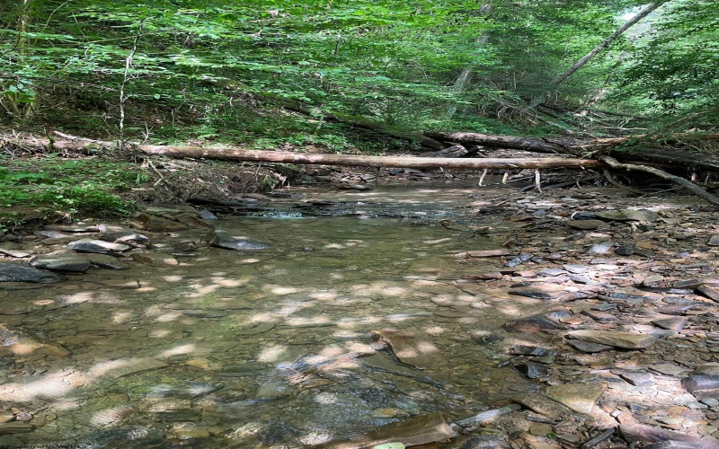 0 Laurel Run Road, Montrose, West Virginia 26283, 0 , 0 ,0,Lots/land,For Sale,Laurel Run,0,10165790 0 Laurel Run Road, Montrose, West Virginia 26283, 0 , 0 ,0,Lots/land,For Sale,Laurel Run,0,10165790