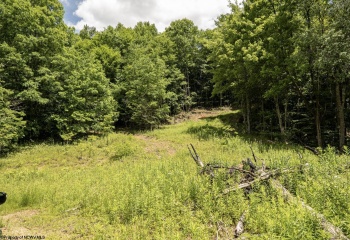 Lot 14 Lake Island Drive, Belington, West Virginia 26250, 0 , 0 ,0,Lots/land,For Sale,Lake Island,0,10165779