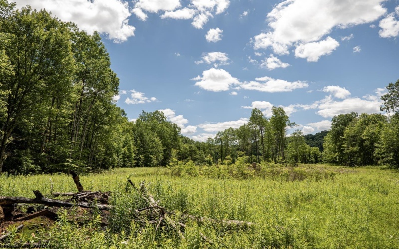 Lot 14 Lake Island Drive, Belington, West Virginia 26250, 0 , 0 ,0,Lots/land,For Sale,Lake Island,0,10165779