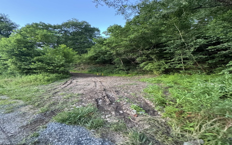 00 Georgetown Road, Horner, West Virginia 26372, 0 , 0 ,0,Lots/land,For Sale,Georgetown,0,10165762 00 Georgetown Road, Horner, West Virginia 26372, 0 , 0 ,0,Lots/land,For Sale,Georgetown,0,10165762