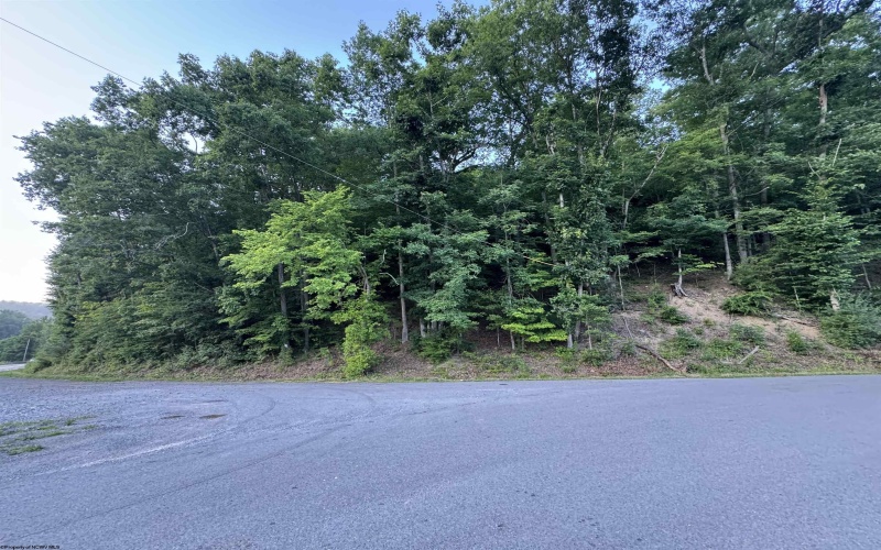 00 Georgetown Road, Horner, West Virginia 26372, 0 , 0 ,0,Lots/land,For Sale,Georgetown,0,10165762 00 Georgetown Road, Horner, West Virginia 26372, 0 , 0 ,0,Lots/land,For Sale,Georgetown,0,10165762
