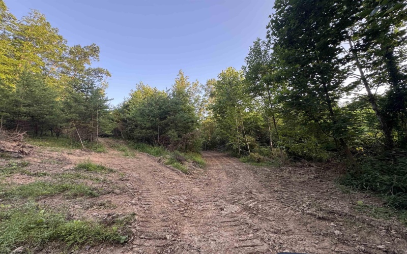 00 Georgetown Road, Horner, West Virginia 26372, 0 , 0 ,0,Lots/land,For Sale,Georgetown,0,10165762 00 Georgetown Road, Horner, West Virginia 26372, 0 , 0 ,0,Lots/land,For Sale,Georgetown,0,10165762