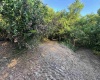 00 Georgetown Road, Horner, West Virginia 26372, 0 , 0 ,0,Lots/land,For Sale,Georgetown,0,10165762 00 Georgetown Road, Horner, West Virginia 26372, 0 , 0 ,0,Lots/land,For Sale,Georgetown,0,10165762