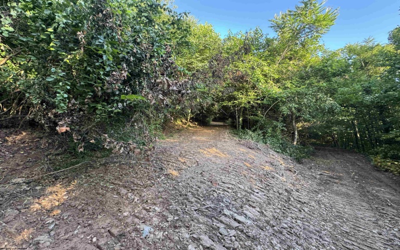 00 Georgetown Road, Horner, West Virginia 26372, 0 , 0 ,0,Lots/land,For Sale,Georgetown,0,10165762 00 Georgetown Road, Horner, West Virginia 26372, 0 , 0 ,0,Lots/land,For Sale,Georgetown,0,10165762