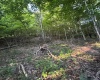 00 Georgetown Road, Horner, West Virginia 26372, 0 , 0 ,0,Lots/land,For Sale,Georgetown,0,10165762 00 Georgetown Road, Horner, West Virginia 26372, 0 , 0 ,0,Lots/land,For Sale,Georgetown,0,10165762