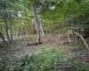 00 Georgetown Road, Horner, West Virginia 26372, 0 , 0 ,0,Lots/land,For Sale,Georgetown,0,10165762 00 Georgetown Road, Horner, West Virginia 26372, 0 , 0 ,0,Lots/land,For Sale,Georgetown,0,10165762