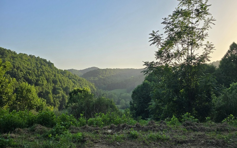 00 Georgetown Road, Horner, West Virginia 26372, 0 , 0 ,0,Lots/land,For Sale,Georgetown,0,10165762 00 Georgetown Road, Horner, West Virginia 26372, 0 , 0 ,0,Lots/land,For Sale,Georgetown,0,10165762