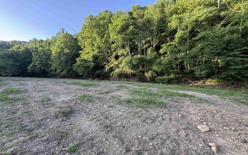 00 Georgetown Road, Horner, West Virginia 26372, 0 , 0 ,0,Lots/land,For Sale,Georgetown,0,10165762 00 Georgetown Road, Horner, West Virginia 26372, 0 , 0 ,0,Lots/land,For Sale,Georgetown,0,10165762
