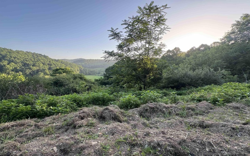 00 Georgetown Road, Horner, West Virginia 26372, 0 , 0 ,0,Lots/land,For Sale,Georgetown,0,10165762 00 Georgetown Road, Horner, West Virginia 26372, 0 , 0 ,0,Lots/land,For Sale,Georgetown,0,10165762