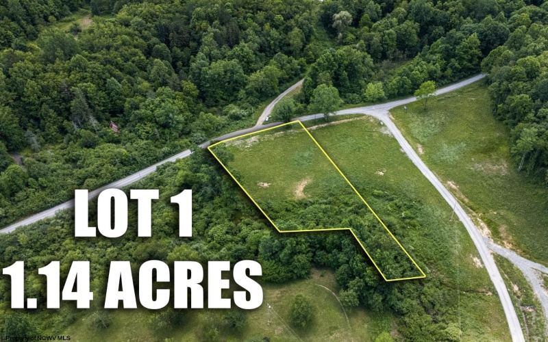 Lot 1 Lake Island Drive, Belington, West Virginia 26250, 0 , 0 ,0,Lots/land,For Sale,Lake Island,0,10165771