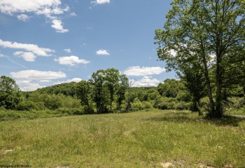 Lot 2 Lake Island Drive, Belington, West Virginia 26250, 0 , 0 ,0,Lots/land,For Sale,Lake Island,0,10165772