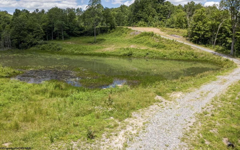 Lot 9 Lake Island Drive, Belington, West Virginia 26250, 0 , 0 ,0,Lots/land,For Sale,Lake Island,0,10165773