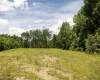 Lot 10 Lake Island Drive, Belington, West Virginia 26250, 0 , 0 ,0,Lots/land,For Sale,Lake Island,0,10165774