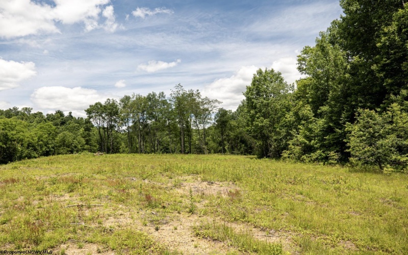 Lot 10 Lake Island Drive, Belington, West Virginia 26250, 0 , 0 ,0,Lots/land,For Sale,Lake Island,0,10165774