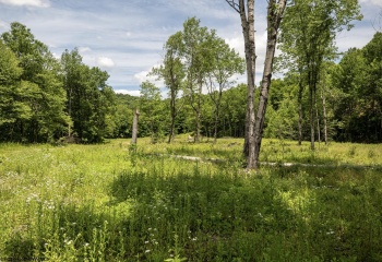 Lot 11 Lake Island Drive, Belington, West Virginia 26250, 0 , 0 ,0,Lots/land,For Sale,Lake Island,0,10165775