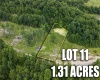 Lot 11 Lake Island Drive, Belington, West Virginia 26250, 0 , 0 ,0,Lots/land,For Sale,Lake Island,0,10165775
