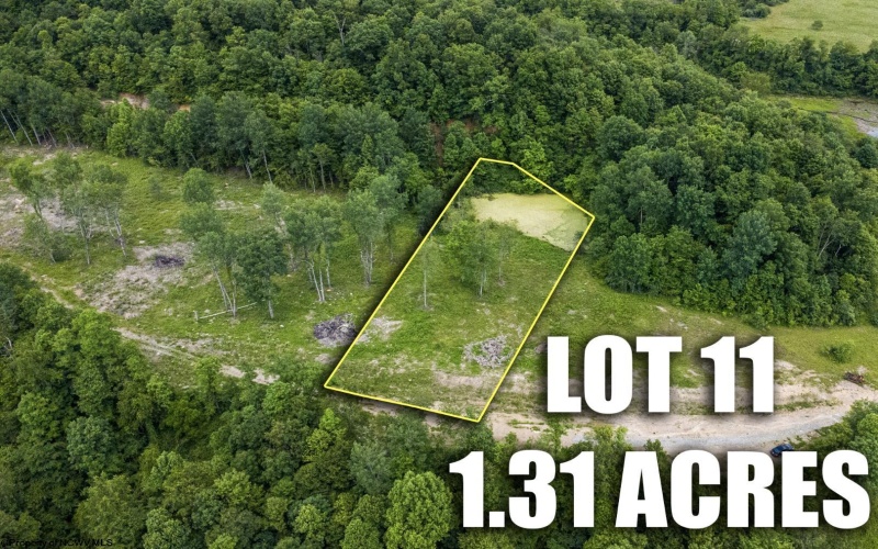 Lot 11 Lake Island Drive, Belington, West Virginia 26250, 0 , 0 ,0,Lots/land,For Sale,Lake Island,0,10165775