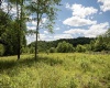 Lot 11 Lake Island Drive, Belington, West Virginia 26250, 0 , 0 ,0,Lots/land,For Sale,Lake Island,0,10165775