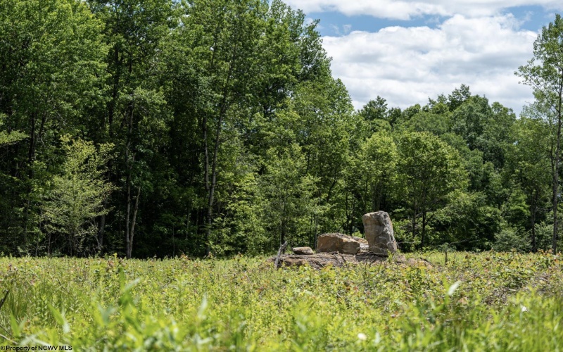Lot 11 Lake Island Drive, Belington, West Virginia 26250, 0 , 0 ,0,Lots/land,For Sale,Lake Island,0,10165775