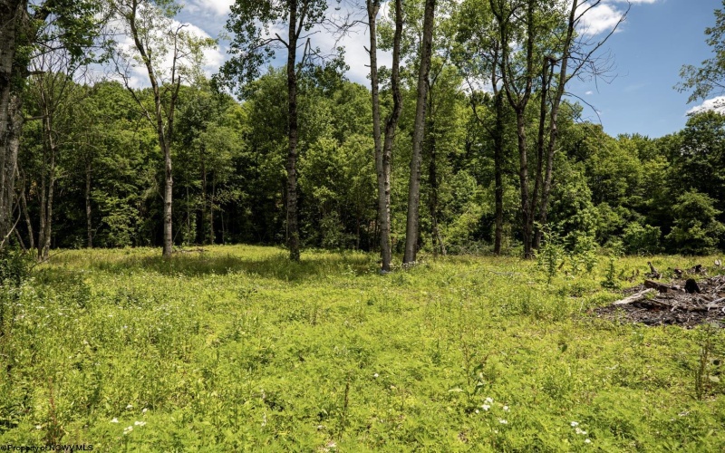 Lot 12 Lake Island Drive, Belington, West Virginia 26250, 0 , 0 ,0,Lots/land,For Sale,Lake Island,0,10165776