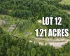 Lot 12 Lake Island Drive, Belington, West Virginia 26250, 0 , 0 ,0,Lots/land,For Sale,Lake Island,0,10165776