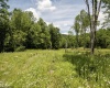 Lot 12 Lake Island Drive, Belington, West Virginia 26250, 0 , 0 ,0,Lots/land,For Sale,Lake Island,0,10165776