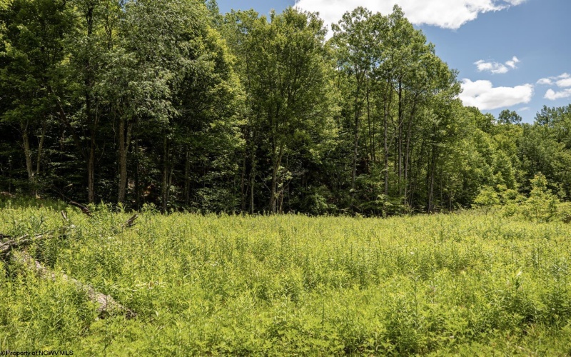 Lot 12 Lake Island Drive, Belington, West Virginia 26250, 0 , 0 ,0,Lots/land,For Sale,Lake Island,0,10165776