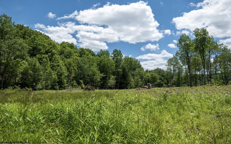 Lot 12 Lake Island Drive, Belington, West Virginia 26250, 0 , 0 ,0,Lots/land,For Sale,Lake Island,0,10165776