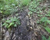 Lot 1 Four States Road, Worthington, West Virginia 26572, 0 , 0 ,0,Lots/land,For Sale,Four States,0,10165789