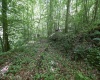 Lot 1 Four States Road, Worthington, West Virginia 26572, 0 , 0 ,0,Lots/land,For Sale,Four States,0,10165789