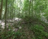 Lot 1 Four States Road, Worthington, West Virginia 26572, 0 , 0 ,0,Lots/land,For Sale,Four States,0,10165789