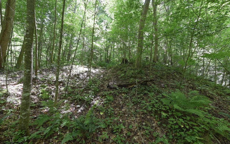 Lot 1 Four States Road, Worthington, West Virginia 26572, 0 , 0 ,0,Lots/land,For Sale,Four States,0,10165789